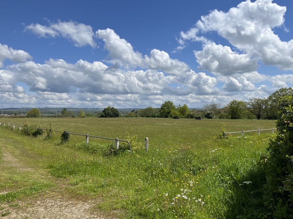 Terrain inexploité La Haie