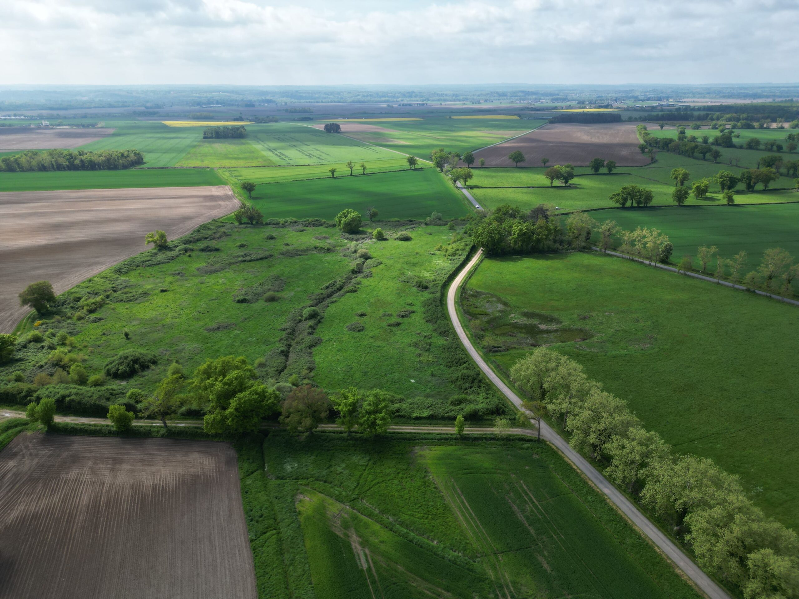 Terrain inexploité Allier